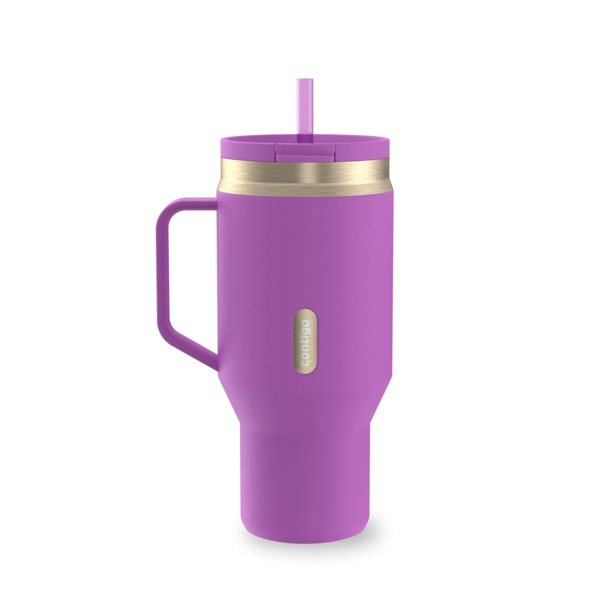 Contigo 30 oz Stainless Steel Water Bottle Tumbler with Straw